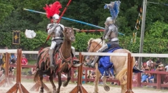 Středověké turnaje. Role koní